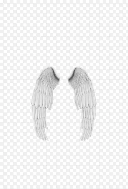 ������ʹ�����ë�๦������-������