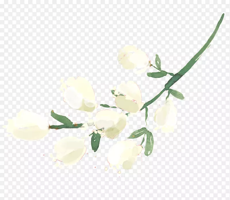 ����֦����ֲ�ﾥ-������