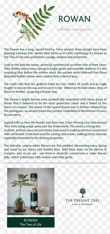 ���ֲ�-��-������