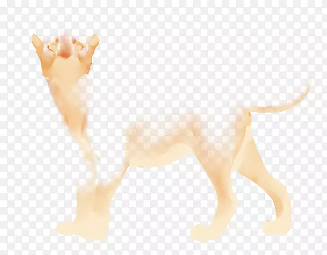 ����èȮ��Ȯ����è-������