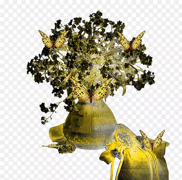 ����-��-������