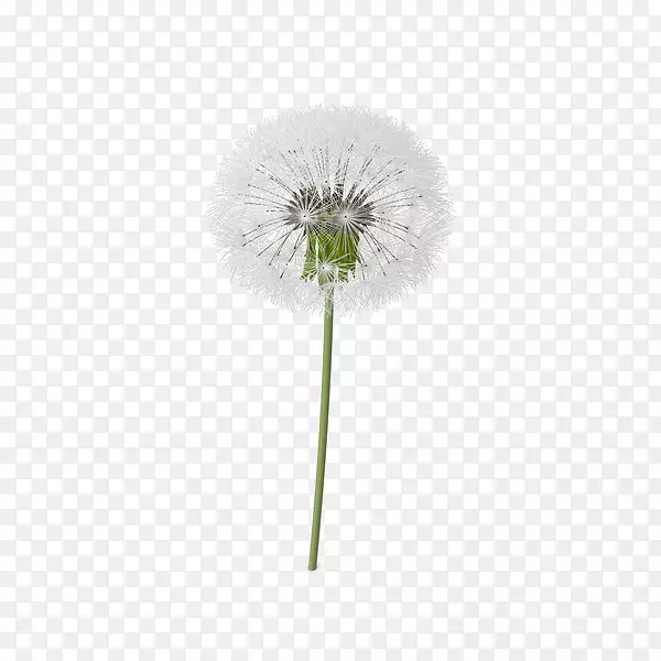 �ѹ�Ӣ������-�ѹ�Ӣ-������