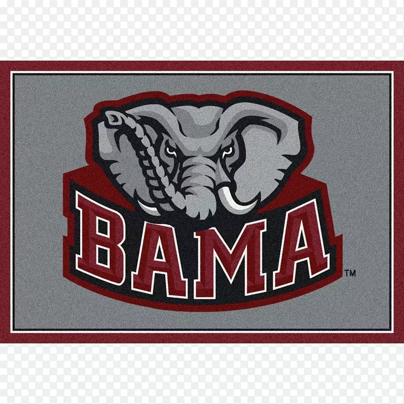 ����������ѧ�쳱����������������쳱���������˶�-�ŶӾ���-������