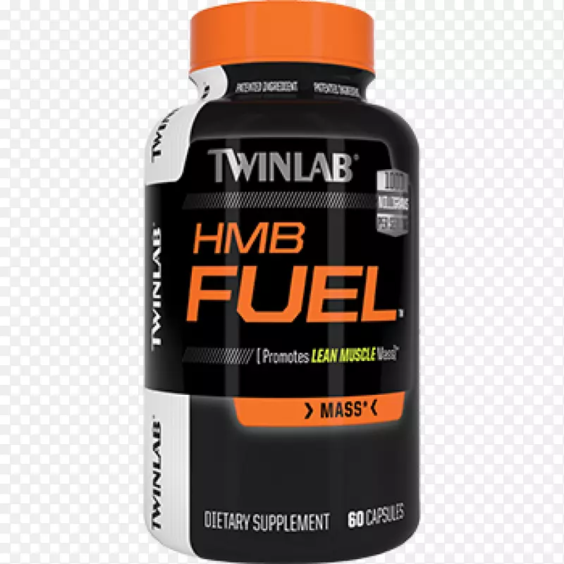 ��ʳ�����Twinlab���ὡ�������ZMA-����-������