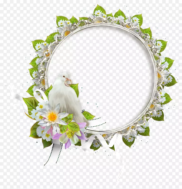 ���Բ�ǻ�ɴ��Ӱ-������