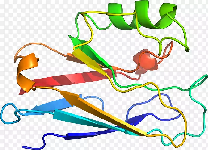 �ߵ������-��-������