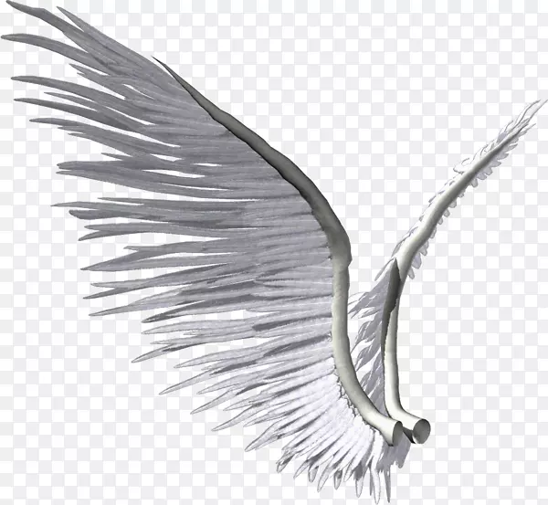 �����Ӱ������-������