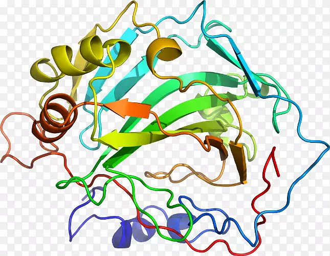 �ߵ������-��-������