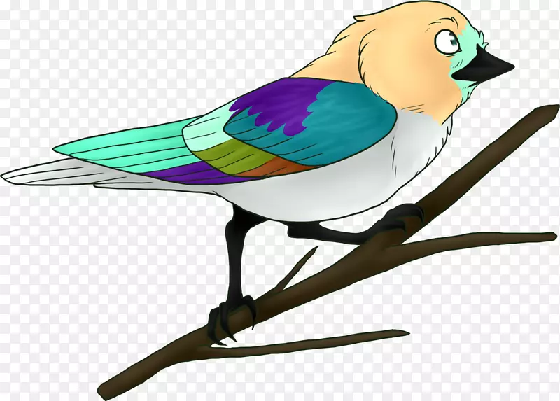 ��������.��ë-������