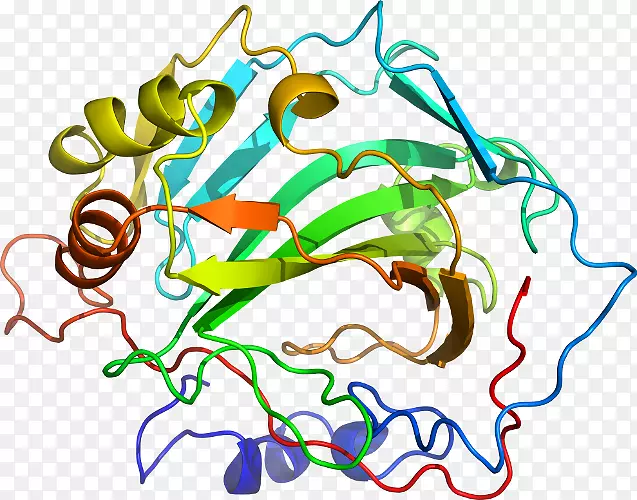 �ߵ������-��-������