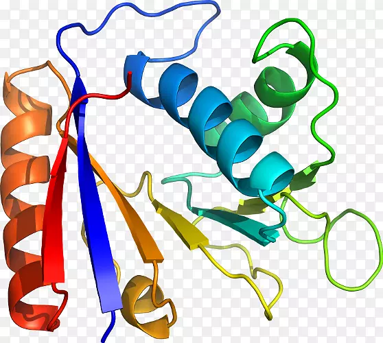 �����鱦������.���-������