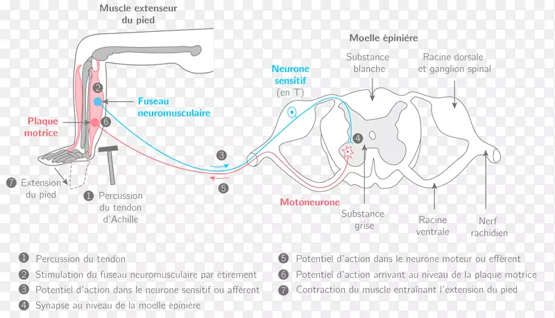�߽����-������