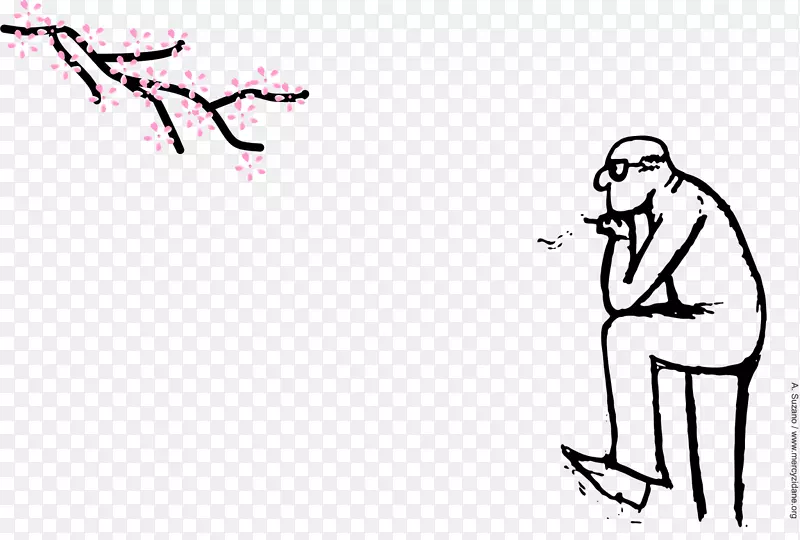 ������ָ������������-������