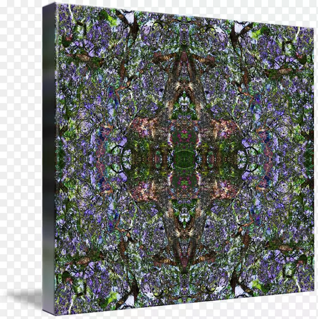 ���Գƻ�֦ͼ��-��-������