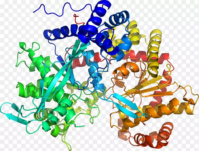 ���������鱦�л����߼�������-������