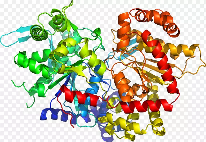 ����ʳƷ�����鱦������.�鱦-������