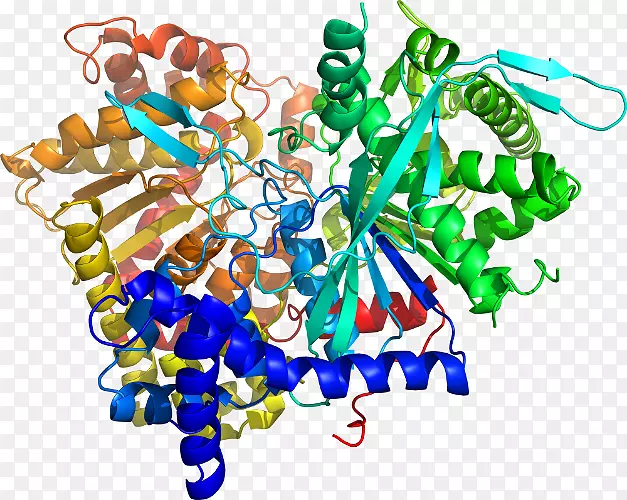 ���������鱦�л����߼�������-������