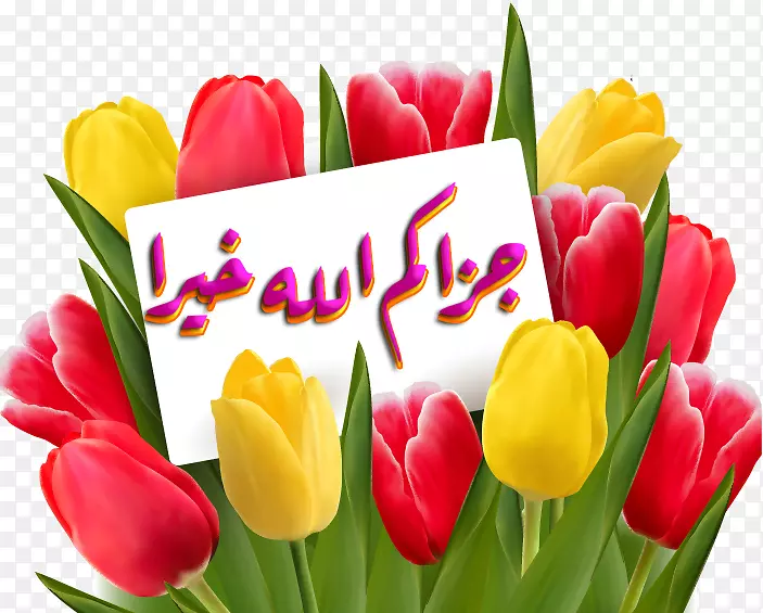 �����㻨������-������-������