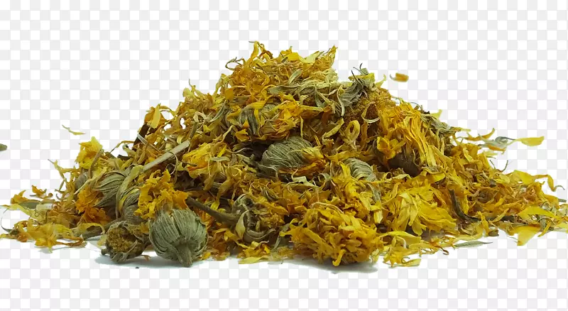 ���ݱ�����������-������