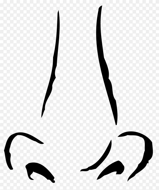 ����Ǽ�����-�򵥱���-������