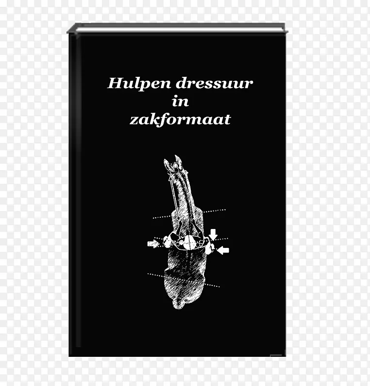 Ʒ�ư�ɫ����-����v-������