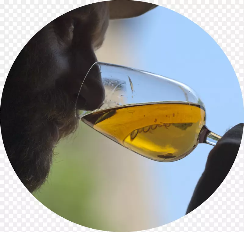 ̫������Ŀ���;�.̫����-������