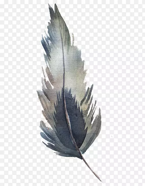 ˮ����ë-������