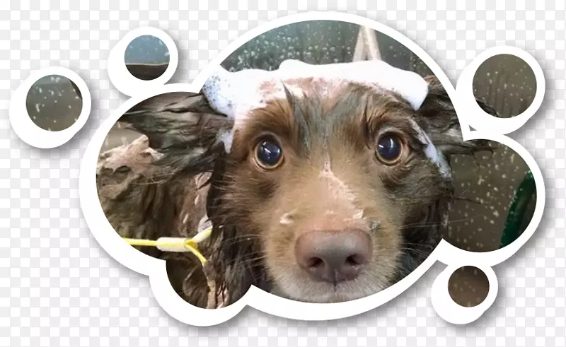 ����С������-С��-������