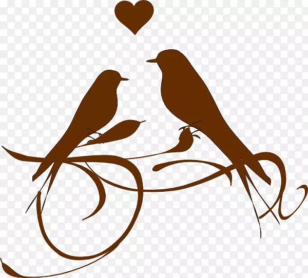 ���������-��-������