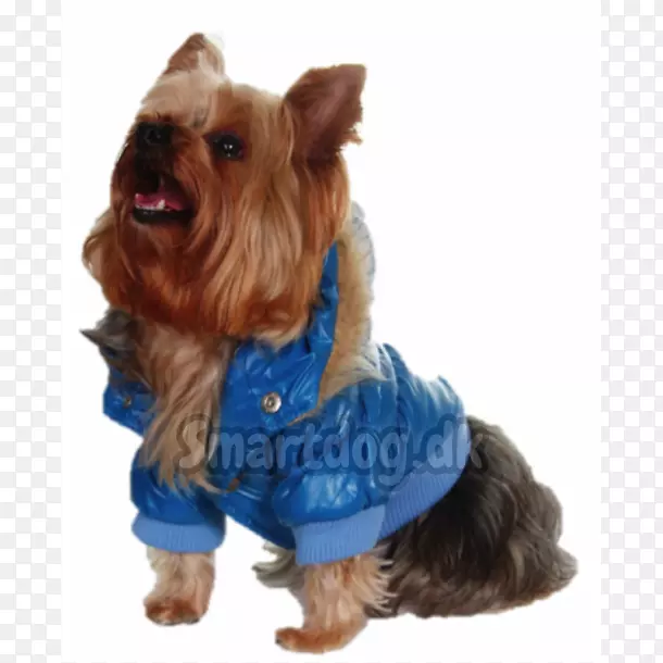 Լ�˿���Ȯ�Ĵ�����˿ë��Ȯ�Ĵ�������Ȯ��ȮƷ�ְ���˹��Ȯ-������