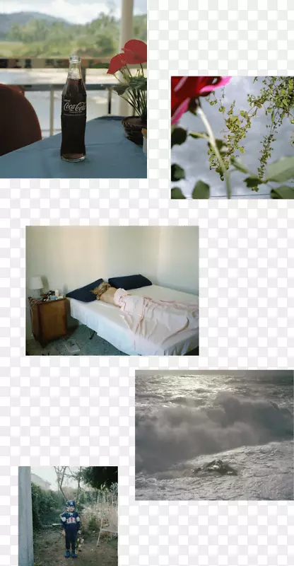 �ɹ����-������