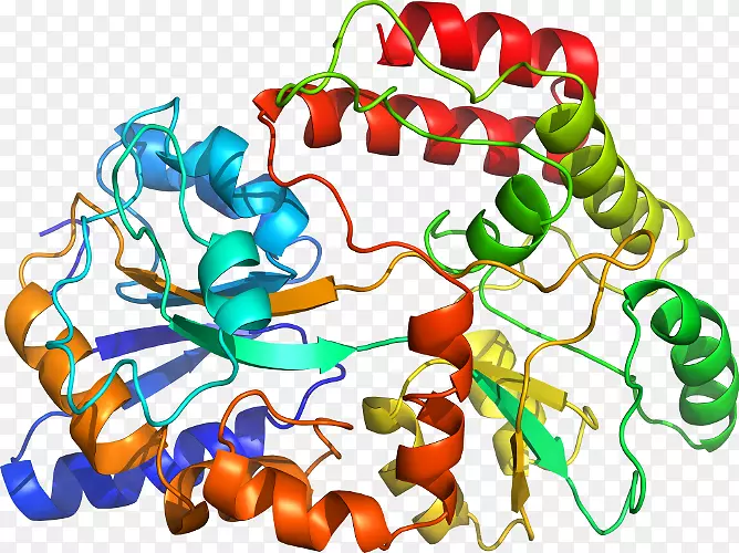 �߲��л��������-�߲�-������