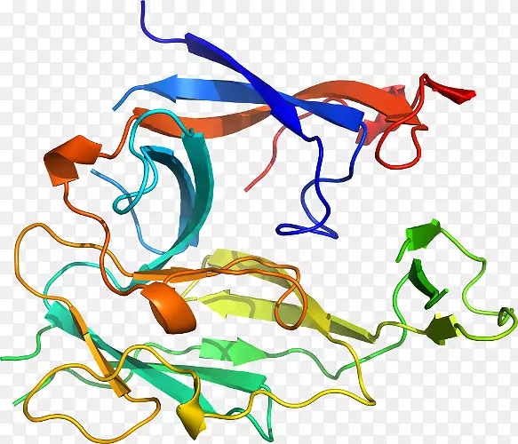 �ߵ������������-������