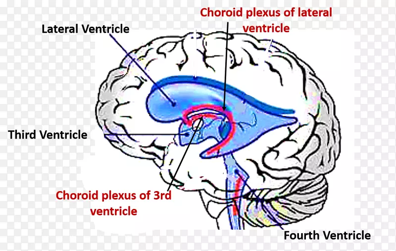 ����ϵͳ������Ե������Ҳ�����-��-������