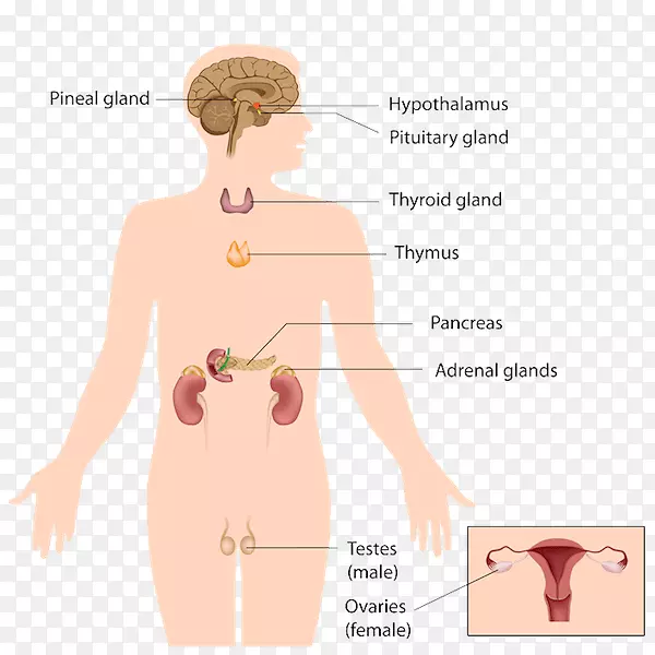 �ڷ������ڷ���ϵͳ�����������ͷ����Ƽ���-������