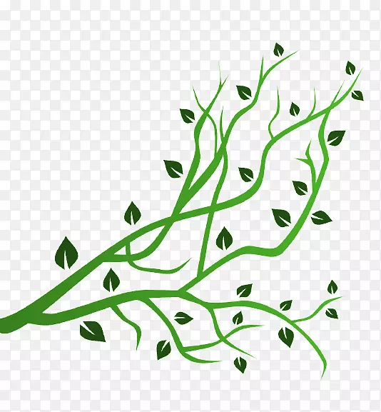 ��֦��������-������