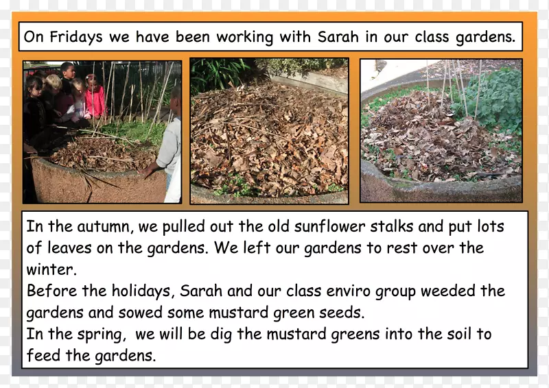 ������̬����ݱ�ֲ��-������