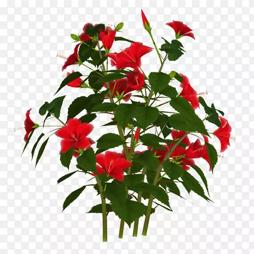 �л��Ե���ֲ��ԭ����Ӱ������-ֲ��-������