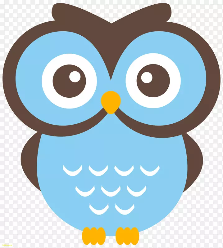 èͷӥ��ѧ������-èͷӥ-������