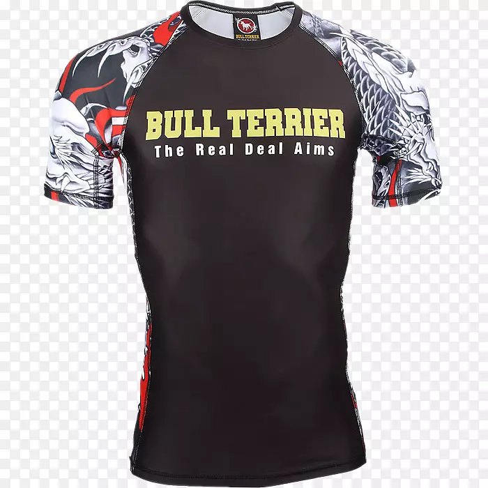 t�����ӱ�־����-t��-������