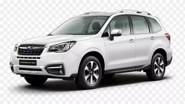 2018��˹��³ɭ�ֳ��������˶��Ͷ๦�ܳ�-˹��³-������