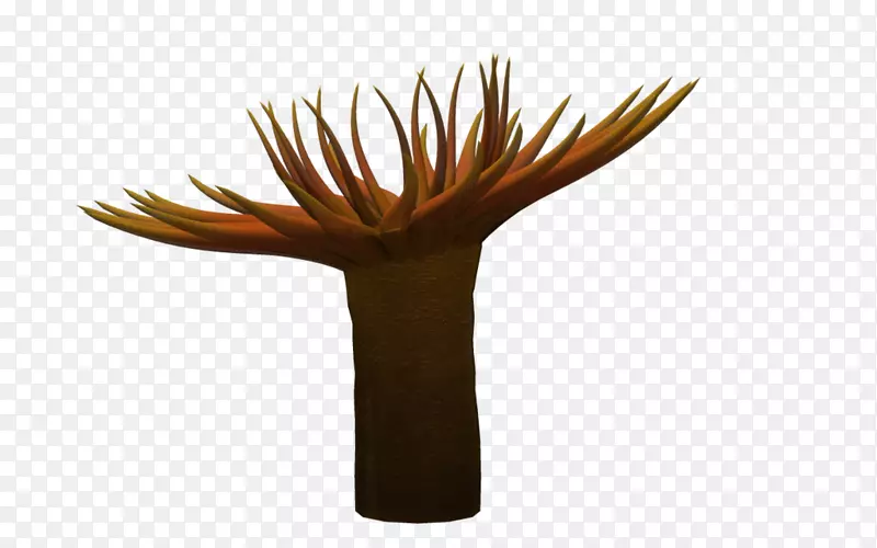 ����-������