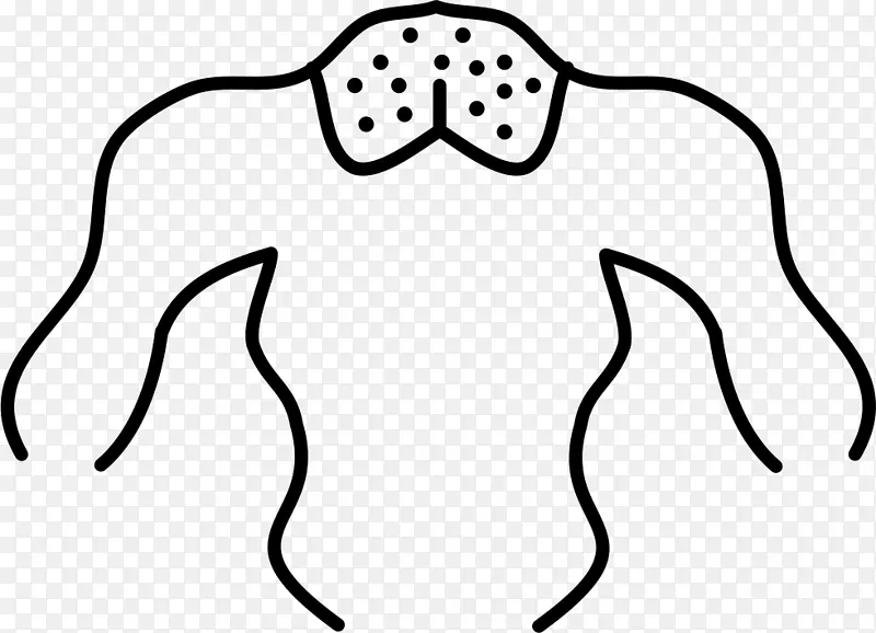 ������������������-����-������