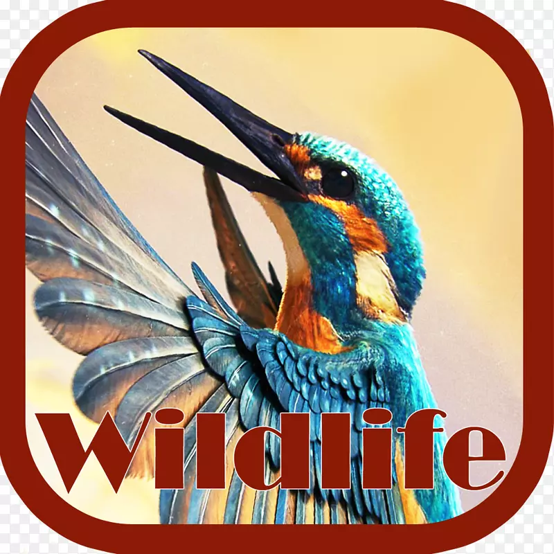 ������-������