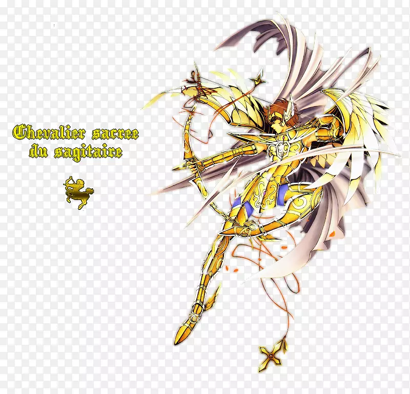 �����֧ʥ���ǣ�ʮ��������ʿ-����-������