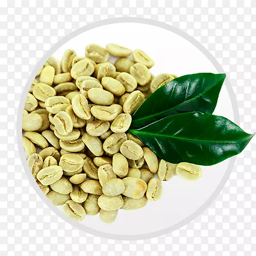 �̿�����ȡ�￧�ȶ��޲�˹������-����-������