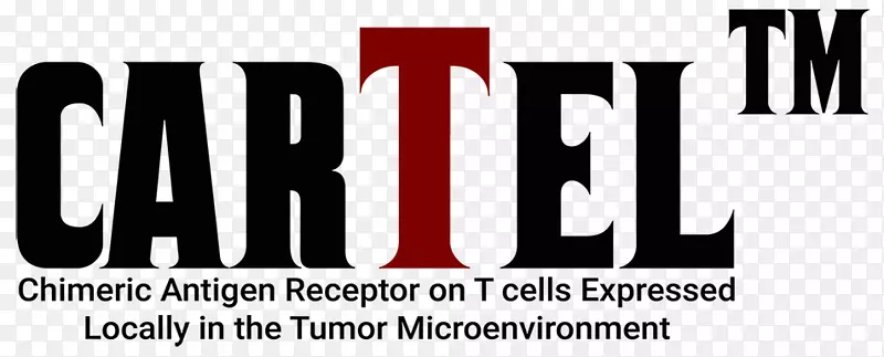 Ƕ�Ͽ�ԭ���������������е��½�չ-������