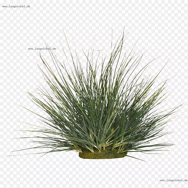 ����-������