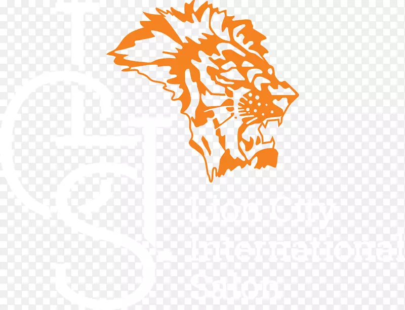 �����������-������