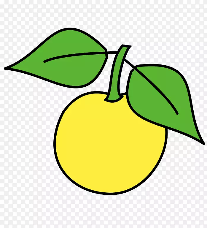 ����ֲ��Ҷֲ�ﾥ�Ѽ�����-������